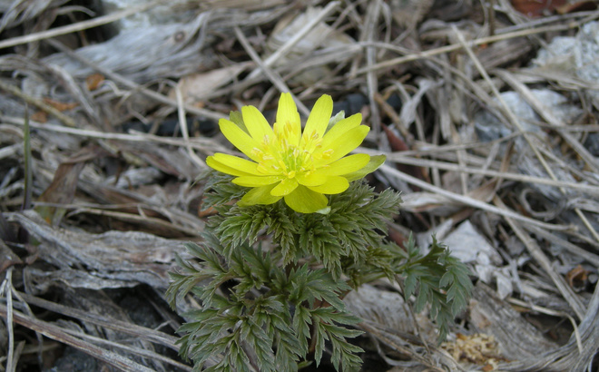 dscn1331.jpg